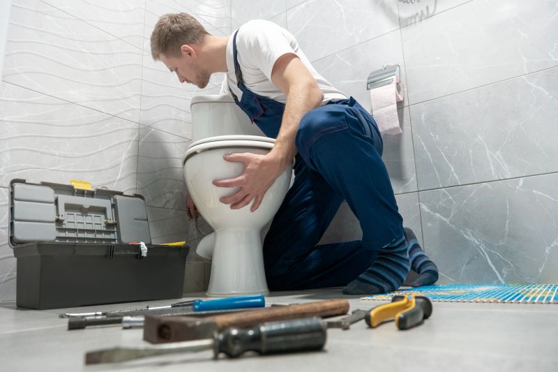 Leaking Toilet Repair in Denver, CO