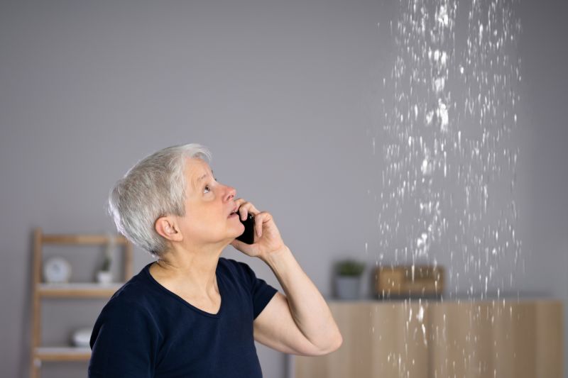 Water Leak Detection in Denver, CO